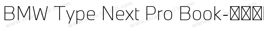 BMW Type Next Pro Book字体转换